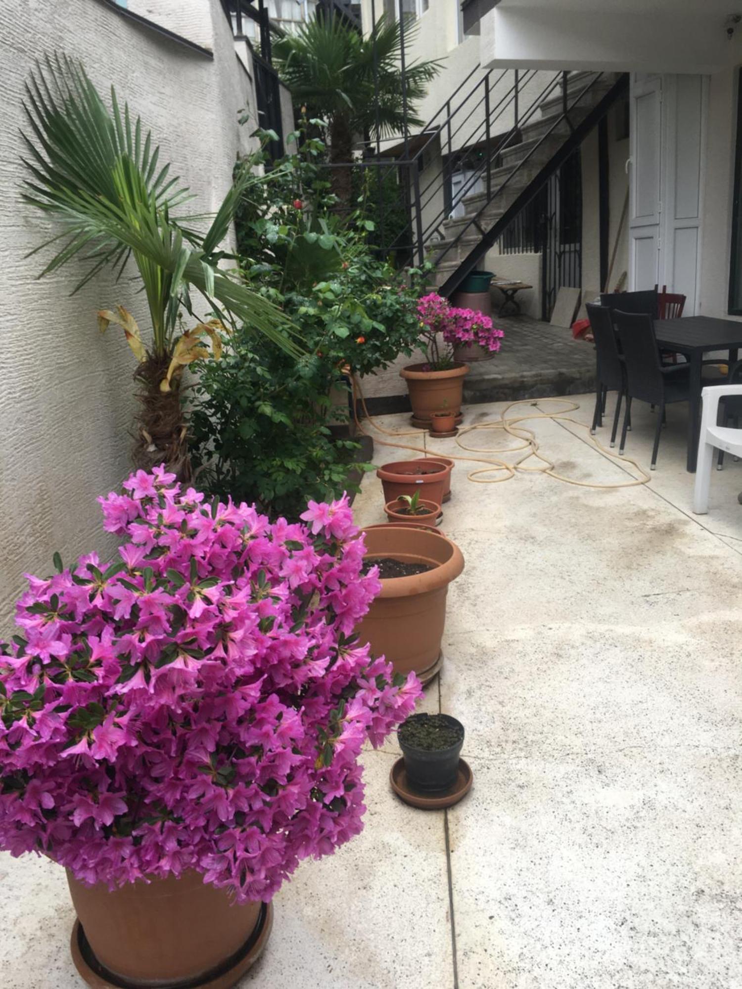 شقة 10 Shindisi Street,تبليسي المظهر الخارجي الصورة